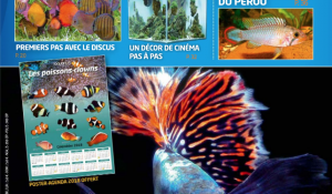 aquarium à la maison 125 couverture