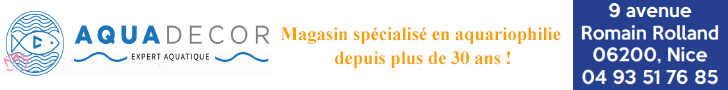 Aquadecor Nice
