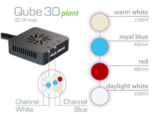 Qube 30 Plant - Détails LED