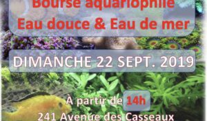 SATL : Bourse Aquariophile à Limoges 2019