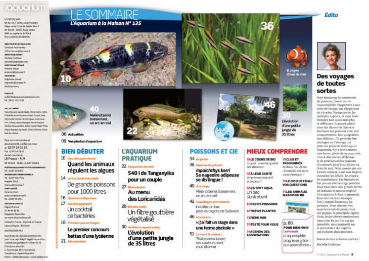 aquarium a la maison sommaire