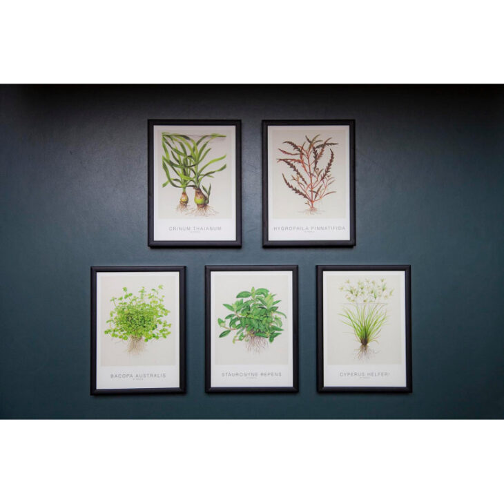 tropica-poster-d-art-aquarelle