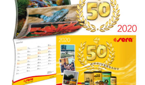 sera calendrier 2020