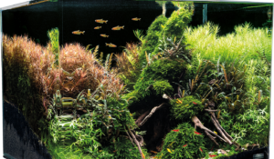 Dennerle aquarium Nano Scaper's 70L
