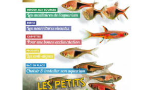 Magazine aquamag n°46