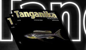 Magazine Tanganyika