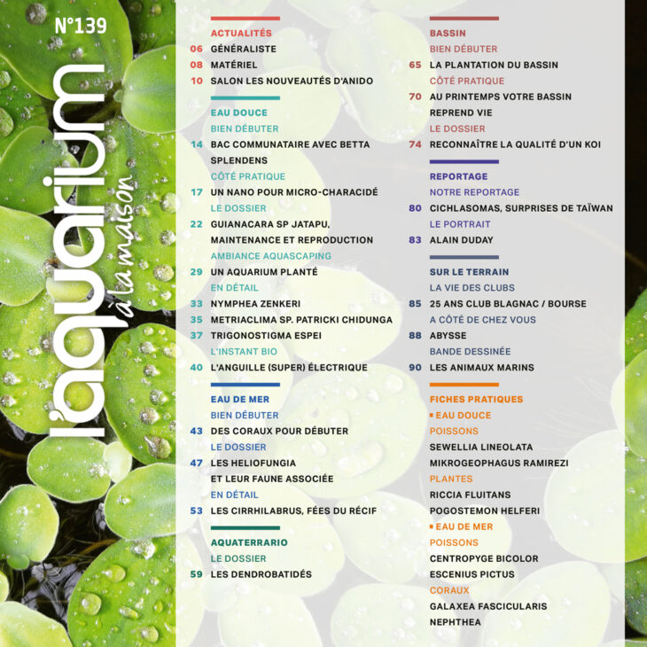 aquarium à la maison 139 sommaire