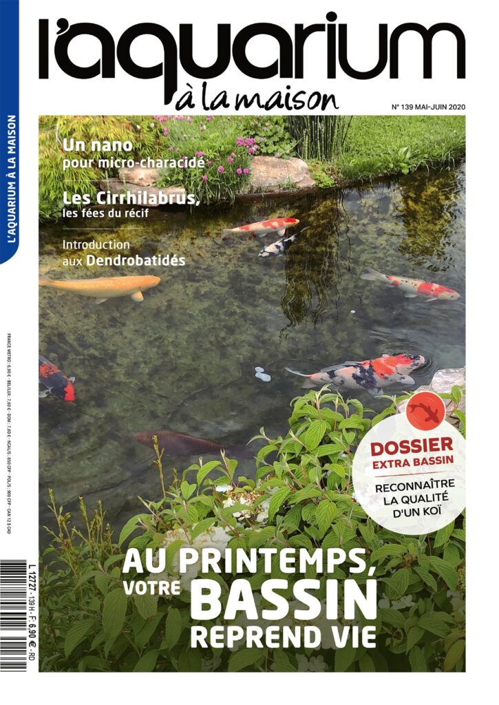 aquarium à la maison 139 couverture