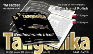 Tanganika Magazyn n°26