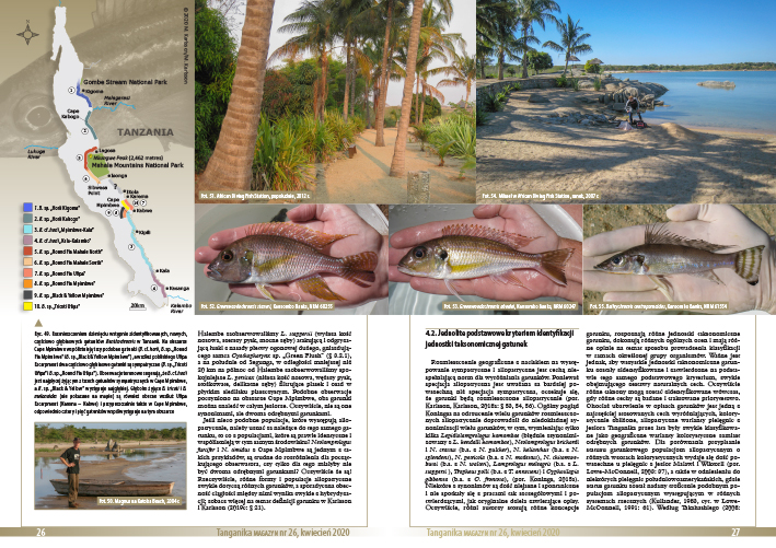 Pages Tanganika Magzyn n°26