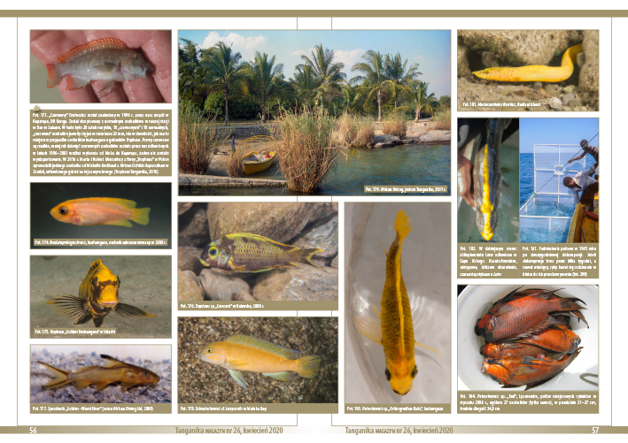 Double page Tanganika Magazyn n°26