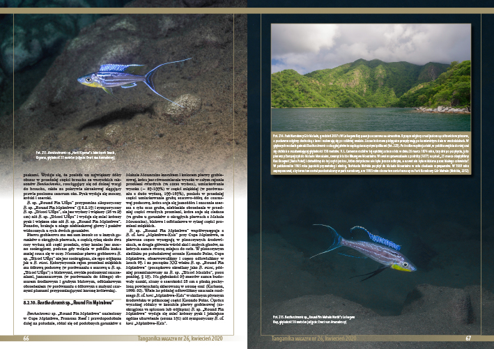 Pages Tanganika Magzyn n°26