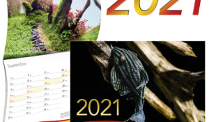 Calendrier SERA 2021
