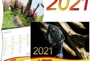 Calendrier SERA 2021