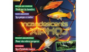 Couverture aquamag N° 49