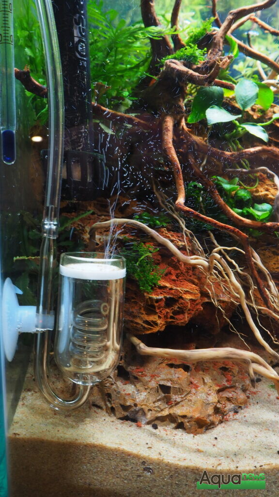 Poisson en verre pour aquarium réservoir céramique disccondensateur eau plante  vivante aquarium CO2