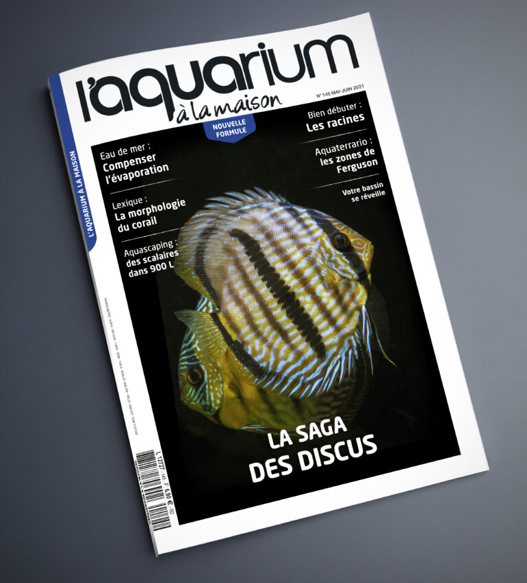 Le magazine L'Aquarium à la maison sans frais de port Aqua News