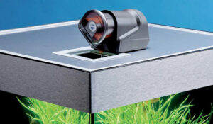 Distributeur de nourriture FishGuard Oase