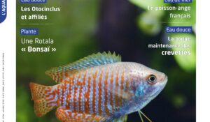 Couverture Aquarium à la maison n°149