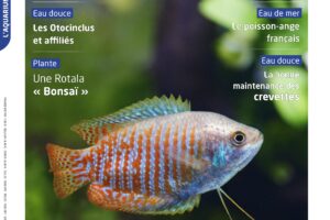 Couverture Aquarium à la maison n°149