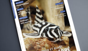 Couverture du n°150 de L'Aquarium à la maison