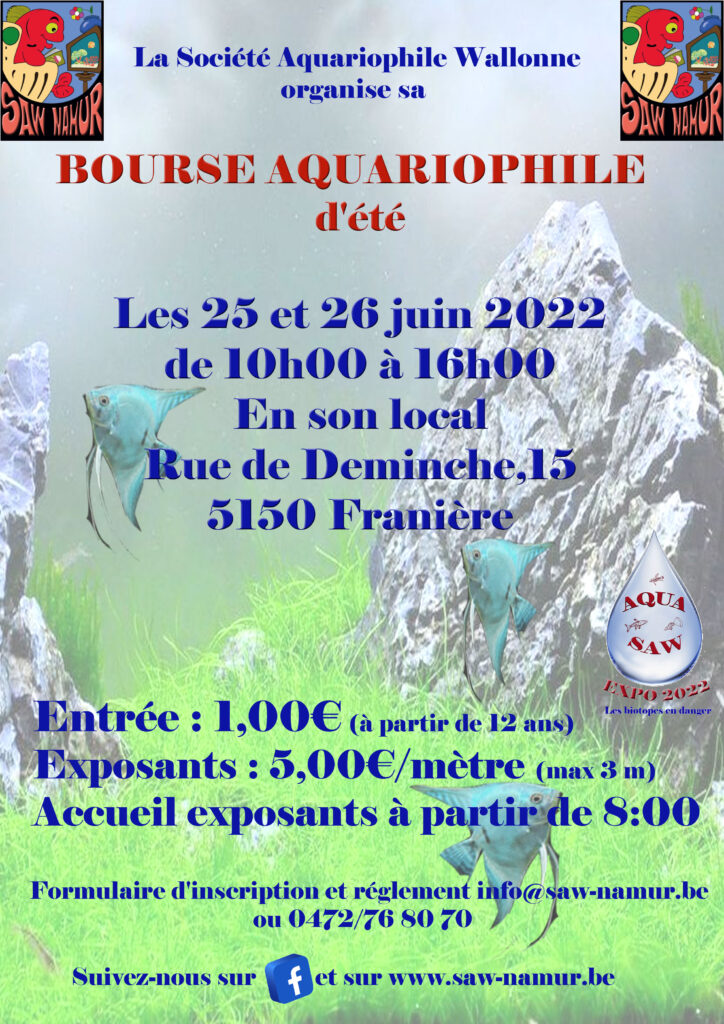 Affiche SAW Namur - Belgique