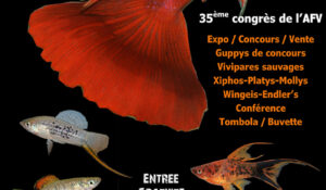 Affiche Association France Vivipares