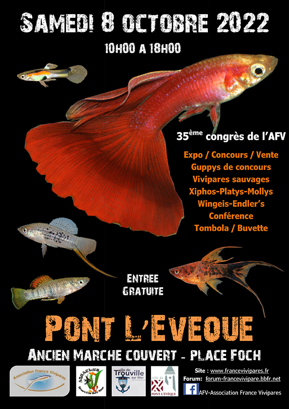 Affiche Association France Vivipares