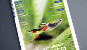 Couverture du n°151 de L'Aquarium à la maison